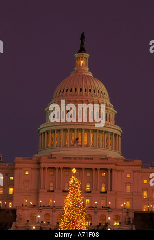 Beleuchtete Weihnachtsbaum vor U Capitol in der frühen Abenddämmerung Washington D C Stockfoto