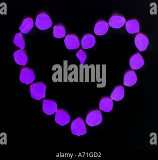 Herzform erstellt mit Rosenblättern manipuliert, um schwarz und lila Stockfoto