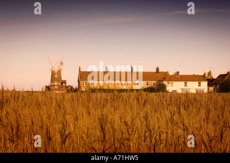 Blick über den Schilfgürtel in Richtung Cley nächstes Meer Windmühle in Norfolk England UK Stockfoto