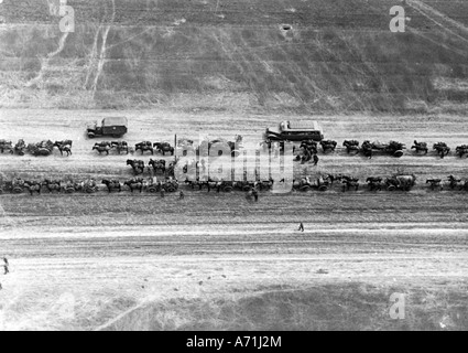 Ereignisse, Zweiter Weltkrieg/Zweiter Weltkrieg, Russland 1941, deutsche Pferdeartillerie mit Ruhepause auf dem marsch, Weißrussland, Luftbild, Stockfoto