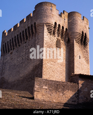 Die Ruinen der Abtei von Montmajour in der Provence. Frankreich. Mittelalterlicher Turm des Abtes Pons de L'Orme. Abtei St. Peter oder Abbaye Saint-Pierre de Montmajour. Stockfoto