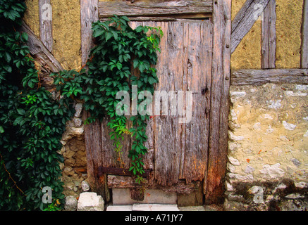 Frankreich das Dordogne-Tal Perigord Aquitaine Fachwerkmauer eines ländlichen Gebäudes. Alte Holztür. An der Fassade des Hauses wachsen Efeu-Reben. Stockfoto