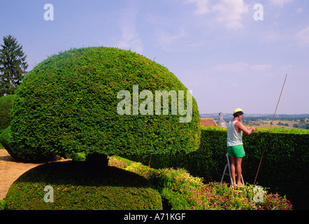 Frankreich Dordogne Tal Chateau de Hautefort Gardner Clipping Hedge Topiary Garten Europas Stockfoto