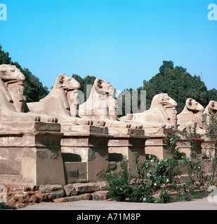 Geographie/Reise, Ägypten, Karnak, Amun-Ra-Tempel, Gasse, erbaut von König Nektanebos I. (Regierte ca. 380-362 v. Chr.), 30. Dynastie), Blick, Detail Teil Tempelkomplex der reiche Gott Amon-Ra, Architektur, Religion, Antike, historisch, historisch, alt, Widderallee, Allee, Widder, tierisches Heiliger Sphinx, Scharniere, bildende Kunst, UNESCO-Weltkulturerbe / Stätten, alte Welt, Stockfoto