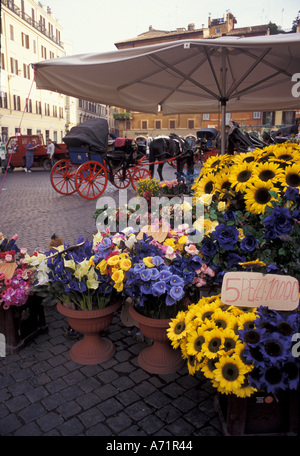 Italien, Rom.  Blumen zum Verkauf an Piazza de Spangna unterhalb der spanischen Treppe. Stockfoto