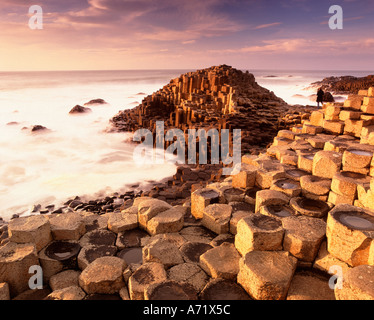 Giants Causeway, County Antrim, Nordirland, Vereinigtes Königreich Stockfoto