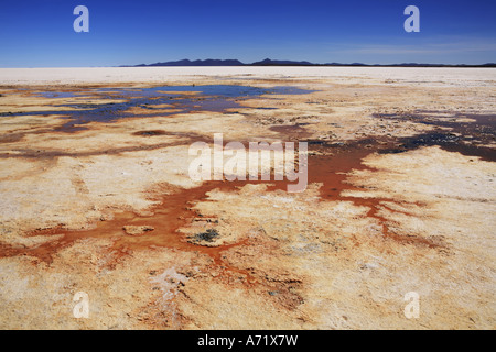 Ojos del Salar Augen der südwestlichen Saltflat Uyuni Bolivien Stockfoto