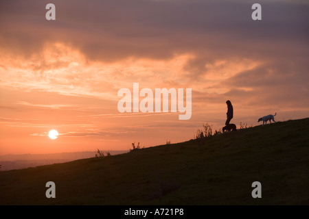 Einsame Frau, die ein Border-Collie auf einem Hügel mit den Sonnenuntergang hinter ihrem Quainton Bucks England Stockfoto