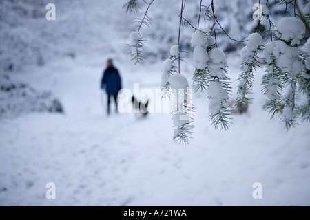 Einsame Frau zu Fuß mit einem Hund auf dem Schnee bedeckt Straße umgeben von Bäumen in einem Wald Inverness Schottland Stockfoto