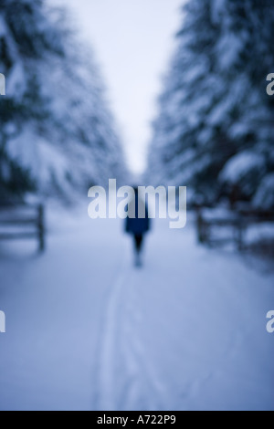 Einsame Frau zu Fuß auf dem Schnee bedeckt Straße umgeben von Bäumen in einem Wald Inverness Schottland Stockfoto