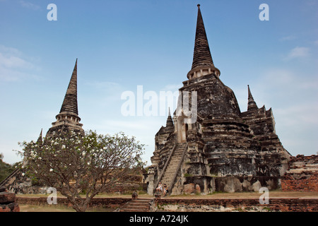 Wat Phra Si Sanphet, ein buddhistischer Tempel in Ayutthaya, Thailand. Stockfoto