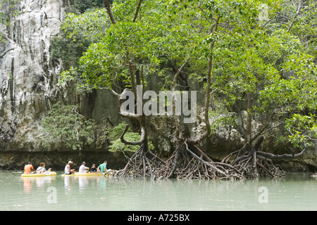 Inneren Lagune der Insel Hongkong. Phang Nga Bucht. Thailand. Stockfoto
