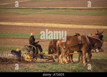 AJ3254, Pennsylvania, PA, Lancaster County Stockfoto