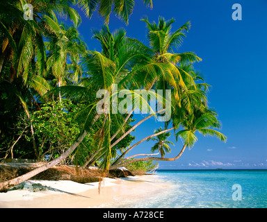 Tropical Island-Strand-Szene auf Male Atoll am Little Bandos Malediven Inseln Indischer Ozean Stockfoto