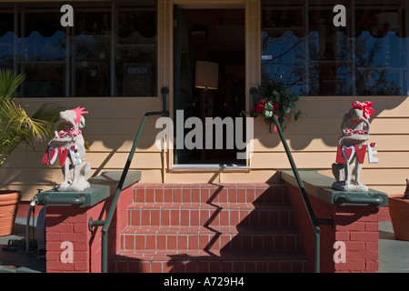 Eingang zur Neuheit Shop Mount Dora Florida Stockfoto