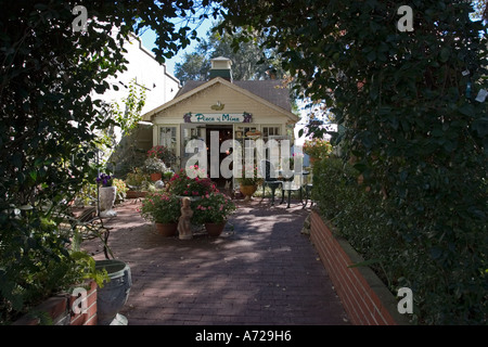 Neuheit-Shop Mount Dora Florida Stockfoto