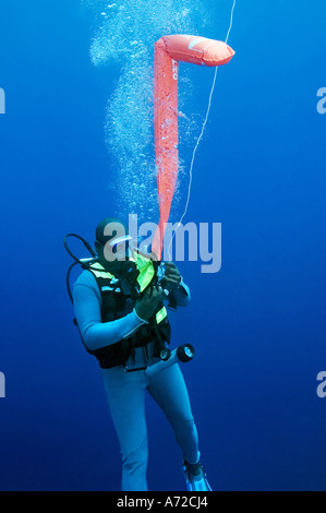 Scubadiver aufblasen eine Markierungsboje Stockfoto