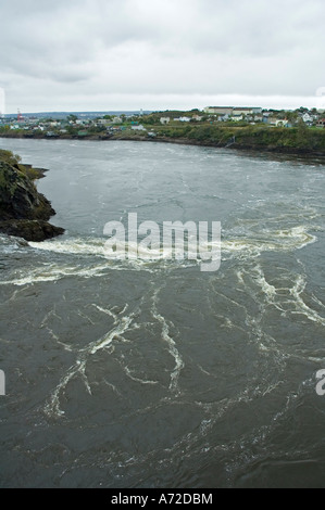Reversing Falls St John New Brunswick Kanada Stockfoto