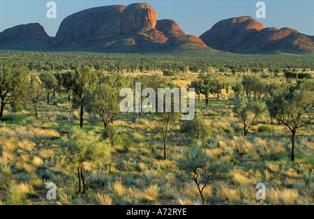 die Olgas Kata Tjuta nördlichen Territorien Australien Stockfoto