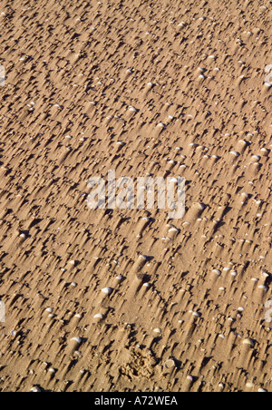 Kieselsteine am Strand Wind geblasen Wirral Merseyside England Stockfoto