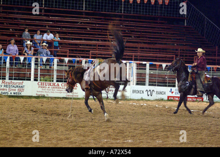 Cowboy texanischen Rodeo in Bandera Texas Stockfoto