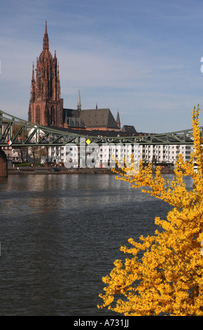 Ein Blick auf die Frankfurter Dom Kathedrale in Frankfurt am Main, Blick über den Main in Richtung Eisener Steg Brücke Stockfoto