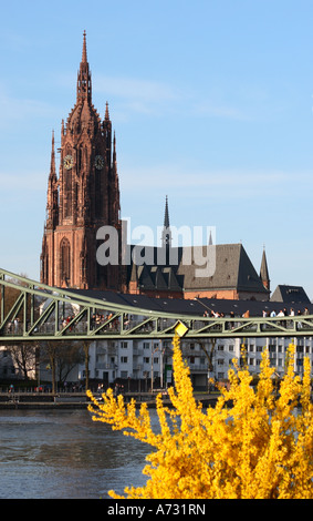 Ein Blick auf die Frankfurter Dom Kathedrale in Frankfurt am Main, Blick über den Main in Richtung Eisener Steg Brücke Stockfoto