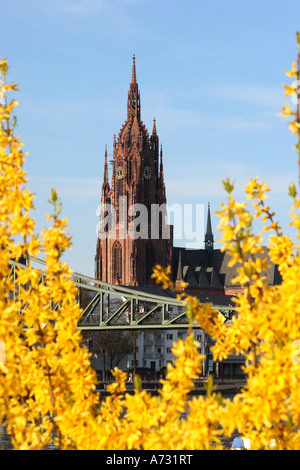 Ein Blick auf die Frankfurter Dom Kathedrale in Frankfurt am Main, Blick über den Main in Richtung Eisener Steg Brücke Stockfoto