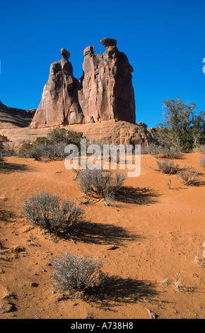 Die drei Klatsch, Entrada Sandstein bei Sonnenuntergang, Utah, USA, Arches NP Stockfoto