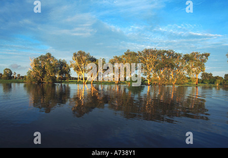 Yellow Water Billabong der Kakadu Nationalpark, Australien, Northern Territory, Kakadu Nationalpark Stockfoto