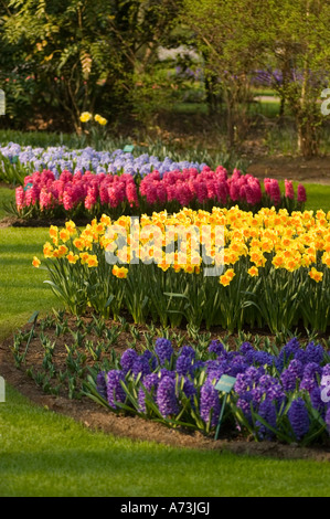 In den Gärten von Keukenhof, Lisse, Holland, blühen leuchtende Hyazinth-Hybriden und Iris. Wunderschöne Blumenlandschaft im Frühling. Stockfoto