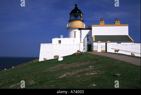 Leuchtturm und Schafe Schottland highllands Stockfoto