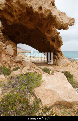 Felsformation in der Nähe von Er Herr nördliche Küste von Socotra island Jemen Stockfoto