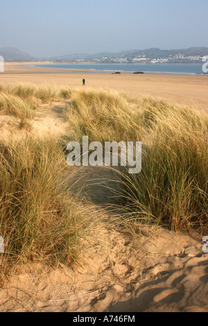 unter den Sanddünen am Ballymastocker Strand in der Nähe von Portsalon im County Donegal, Irland Stockfoto