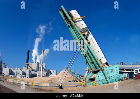 Anhänger an einer Zellstofffabrik zu Dumpingpreisen. Stockfoto