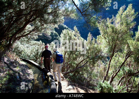 Wandern Levada de Rabacal Madeira Portugal Stockfoto