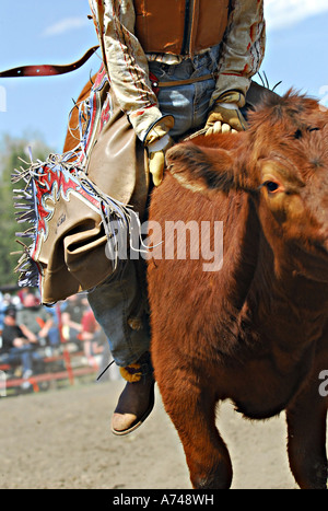 Junge Rodeo Konkurrent Stockfoto