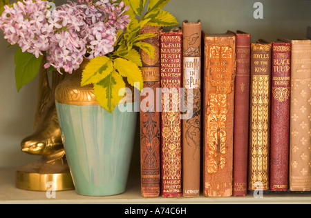 Antiquarische Bücher auf einem Regal mit Flieder in der Vase. Stockfoto