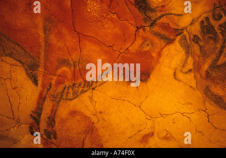 Bisons im MUSEUM von ALTAMIRA NEO Höhle Santillana del Mar Kantabrien Spanien Stockfoto