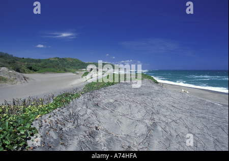 Fidschi-Inseln, Viti Levu, Sigatoka, Sigatoka Sand Dunes NP, Dünen und Strand Stockfoto