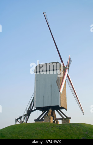 Vertikale Ansicht von Bonne Chiere Molen "Windmühle" gegen ein strahlend blauer Himmel. Stockfoto