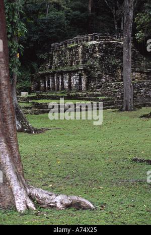 Mexiko, Chiapas, Ocosingo, Yaxchilan Maya-Ruinen. Hauptplatz & Gebäude 20 mit Dach Kamm Stockfoto