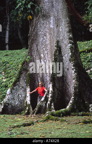 Mexiko, Chiapas, Ocosingo, Yaxchilan Maya-Ruinen. Besucher & Ceiba Baum, Maya-Lebensbaum Stockfoto