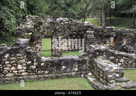 Mexiko, Chiapas, Ocosingo, Yaxchilan Maya-Ruinen. Partielle Gebäudewände Stockfoto