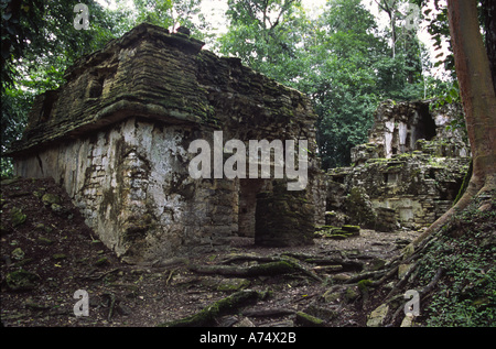 Mexiko, Chiapas, Ocosingo, Yaxchilan Maya-Ruinen. Steinhäuser säumen Hauptplatz Stockfoto