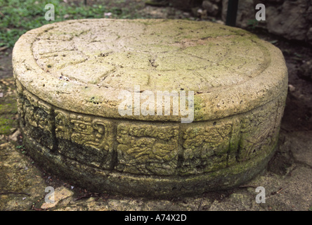 Mexiko, Chiapas, Ocosingo, Yaxchilan Maya-Ruinen. Kreisförmige geschnitzten Opferstein Stockfoto