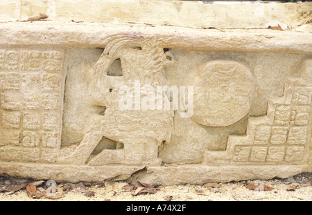 Mexiko, Chiapas, Ocosingo, Yaxchilan Maya-Ruinen. Reliefs auf Treppe zeigen König mit ball Stockfoto