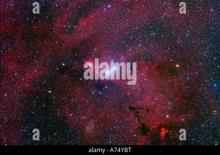 NGC 2264, der Kegel-Nebel-Region Stockfoto