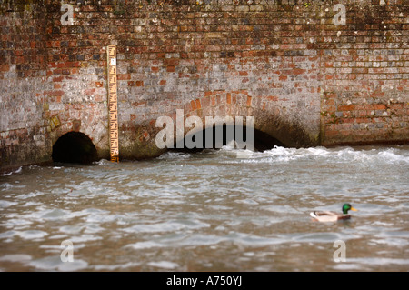 HIGH RIVER EBENEN AUF DEN FLUSS KENNET AM UNTEREN DENFORD IN DER NÄHE VON HUNGERFORD UK Stockfoto