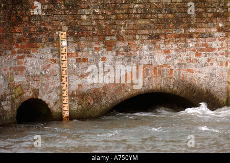 HIGH RIVER EBENEN AUF DEN FLUSS KENNET AM UNTEREN DENFORD IN DER NÄHE VON HUNGERFORD UK Stockfoto